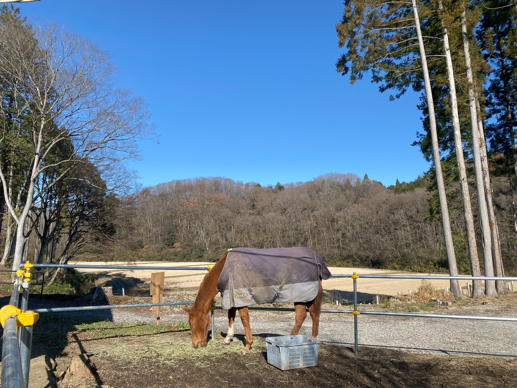 新年あけましておめでとうございます